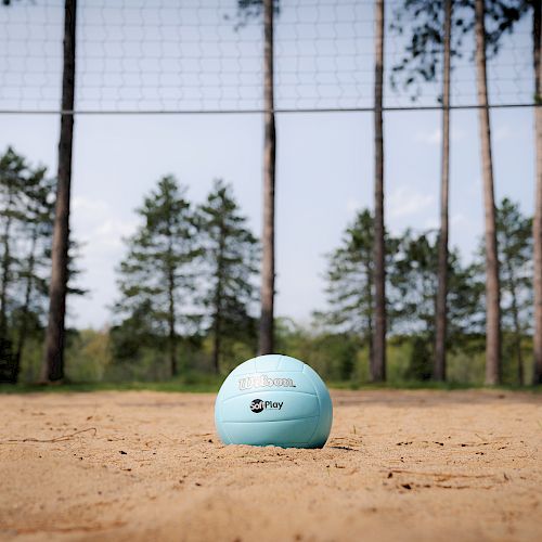 This image shows a light blue volleyball resting on a sandy court, with a net and tall trees in the background.