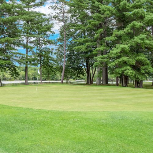 A golf green surrounded by trees and a flagstick in the center, with lush grass and a glimpse of a lake in the background.