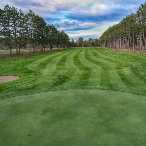 This image shows a well-maintained golf course with a putting green, a flag, sand trap, and lush, striped grass, surrounded by tall trees.