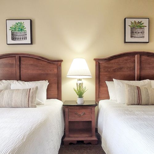 The image shows a bedroom with two beds, a nightstand with a lamp and plant, and two framed pictures on the wall.
