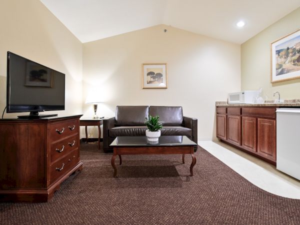 The image shows a cozy living area with a TV, sofa, coffee table with a plant, lamp, framed pictures, and a kitchenette with cabinets and appliances.