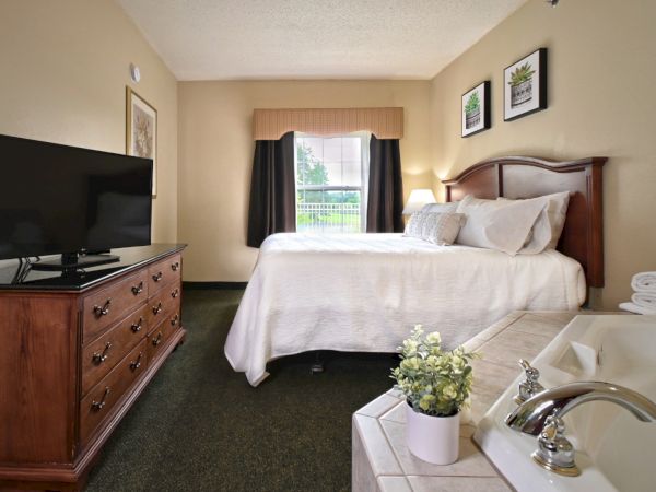 This image shows a cozy hotel room with a bed, TV, dresser, window, and a jacuzzi tub. Decor includes framed pictures and a potted plant.