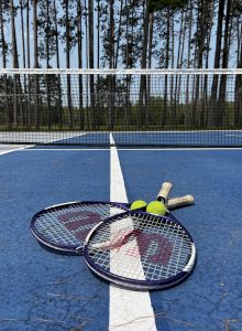 The image shows two tennis rackets and two tennis balls on a blue tennis court, with a net and tall trees in the background.