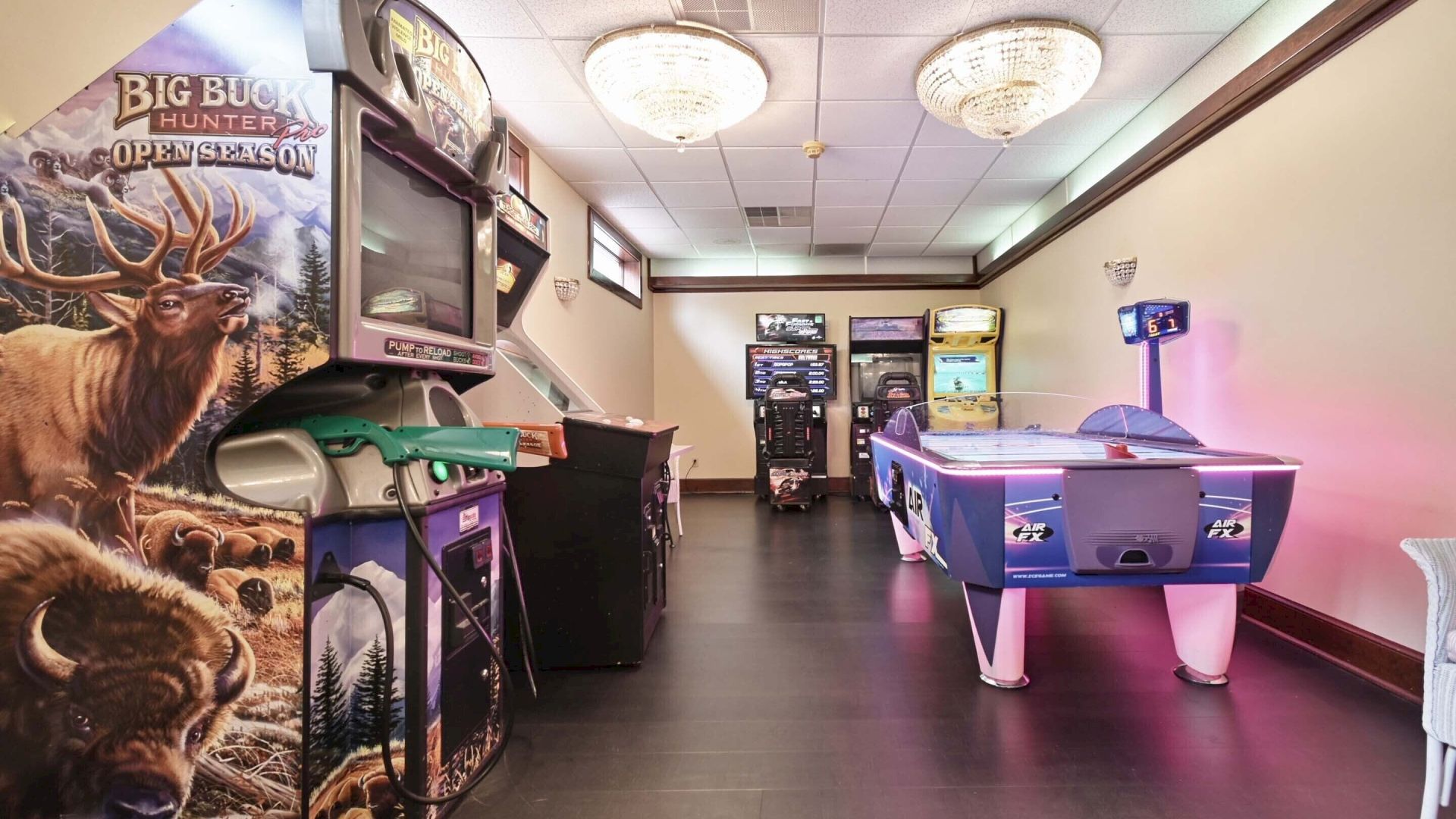 This image shows an arcade room featuring game machines, an air hockey table, and wall decor with animal themes.