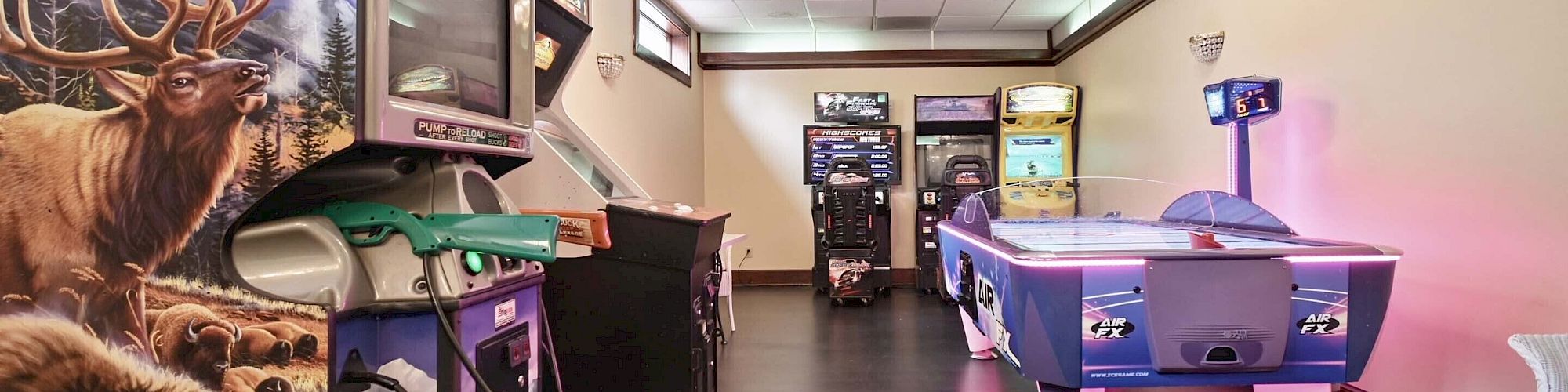 This image shows an arcade room featuring game machines, an air hockey table, and wall decor with animal themes.